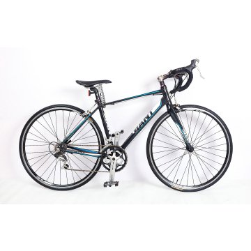 GIANT-25 Black