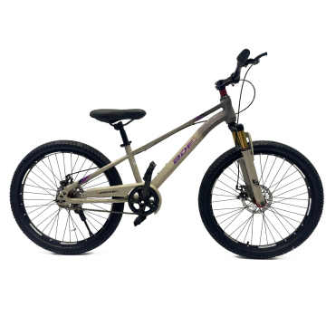 BDF 24" Grey Purple Front Shock Bicycle
