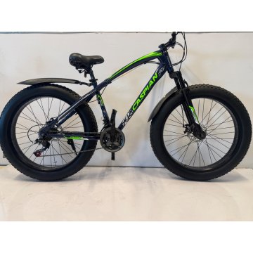 Caspian 900 Fat Tire 26" Mountain Bike – Blue & Green