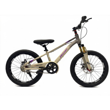 BDF 20" Grey Purple Front Shock Bicycle