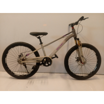 BDF 24" Grey Purple Front Shock Bicycle