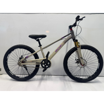 BDF 24" Grey Purple Front Shock Bicycle