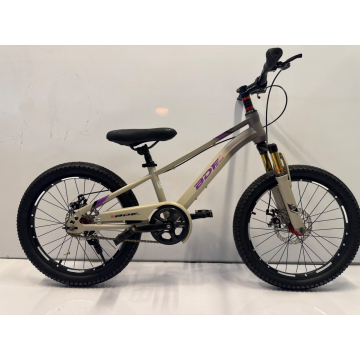 BDF 20" Grey Purple Front Shock Bicycle