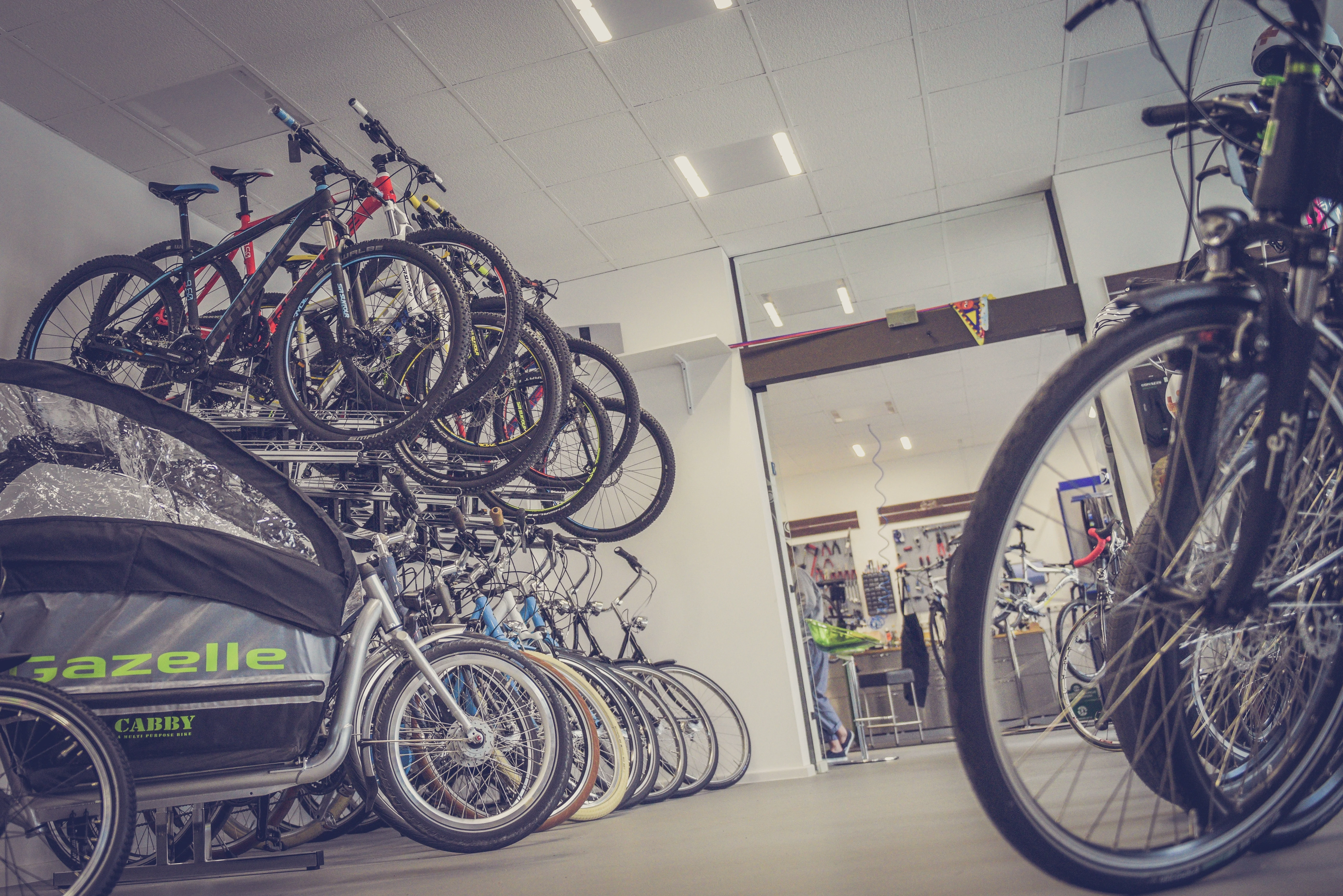 The Ultimate Guide to Choosing the Right Bike for You